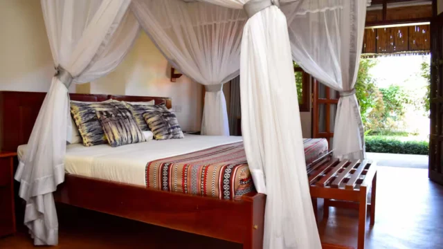 African Roots Guesthouse (1)