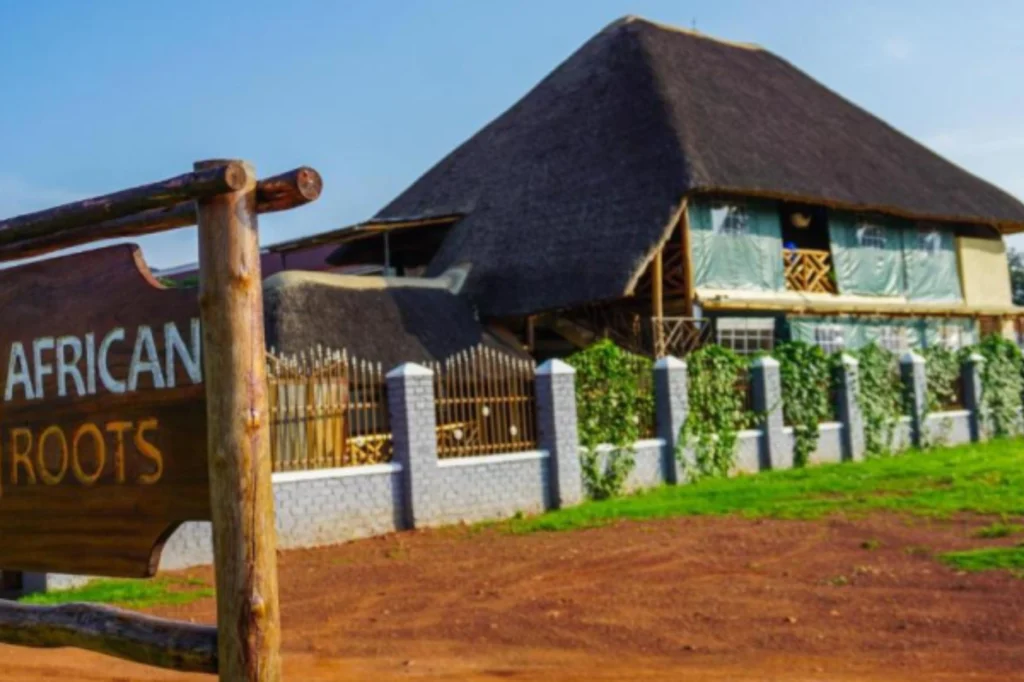 African Roots Guesthouse (4)