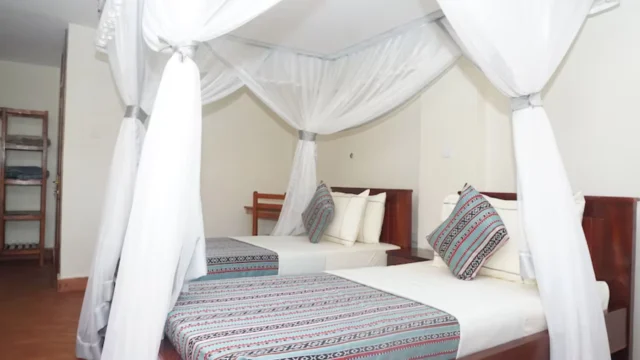 African Roots Guesthouse (6)