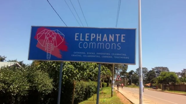 Elephante Commons