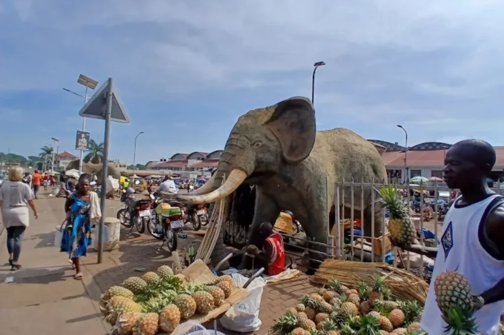 Gulu Main Market (3)