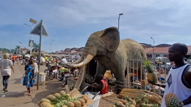 Gulu Main Market (3)