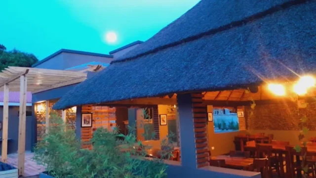 Primavera Kitchen + Cocktail Bar (2)